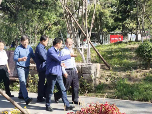 “不忘初心、牢记使命” 区委领导深入视察